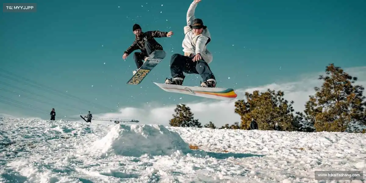 行业领先的理由